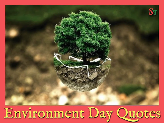 world environment day image